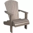 Buckeye Adirondack Chair - Weathered Wood
