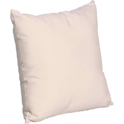 Toss Pillow