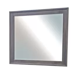 Oberlin Mirror