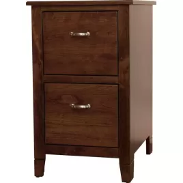 Jacobsville 2 Drawer File Cabinet