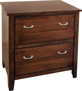 Jacobsville 2 Drawer Lateral File Cabinet