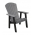 Buckeye Adirondack Chat Chair - Light Gray on Black